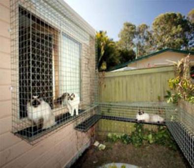 DIY Outdoor Cat Enclosure